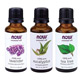 NOW® Essential Oils Most Popular Pack(3 Bottles): Tea Tree, Eucalyptus, Lavender